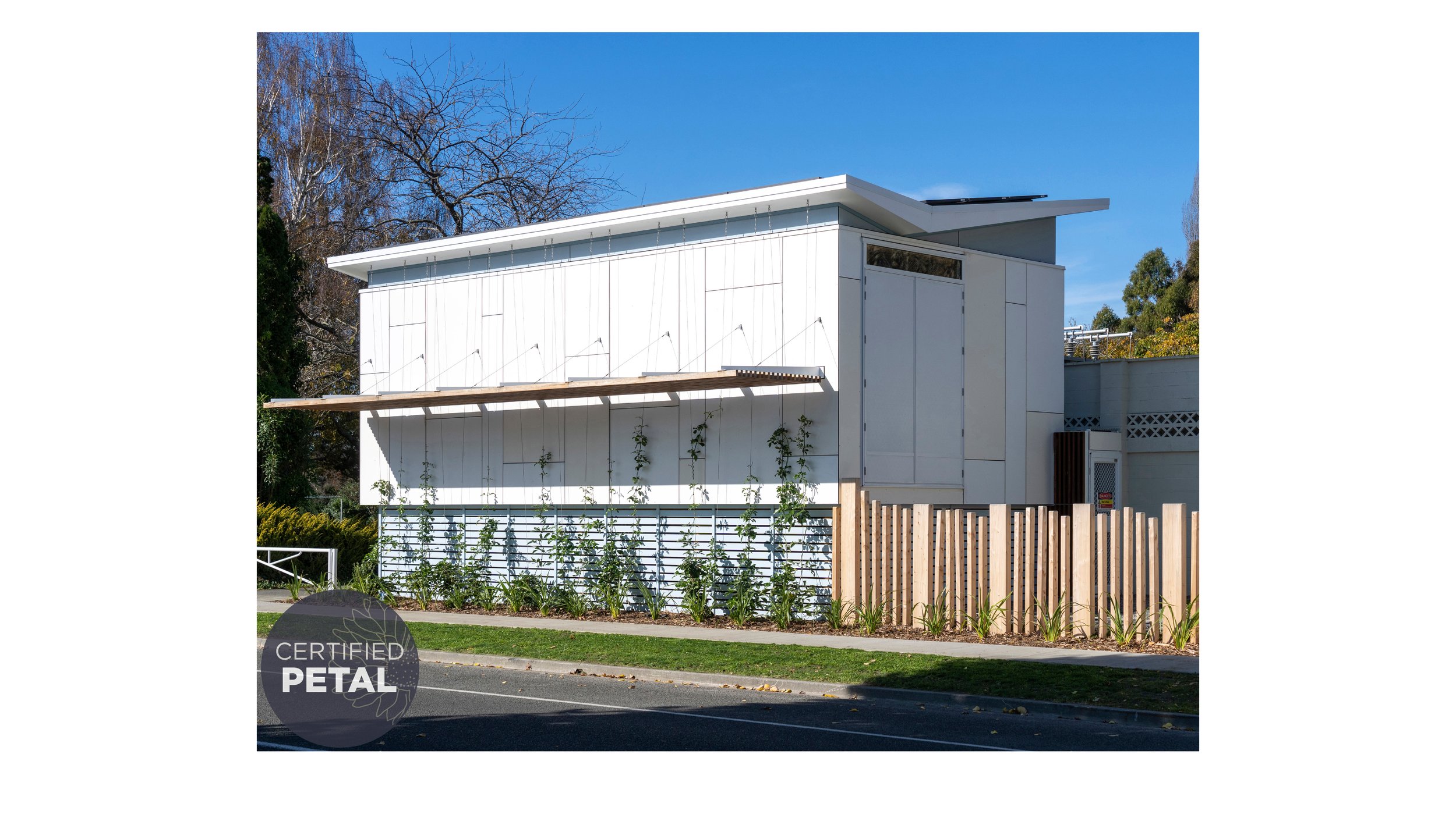 next awards presenation5.jpg