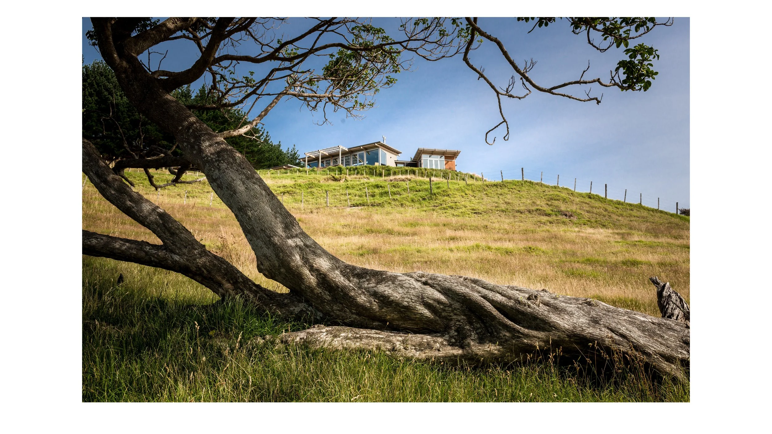 next awards presenation8.jpg