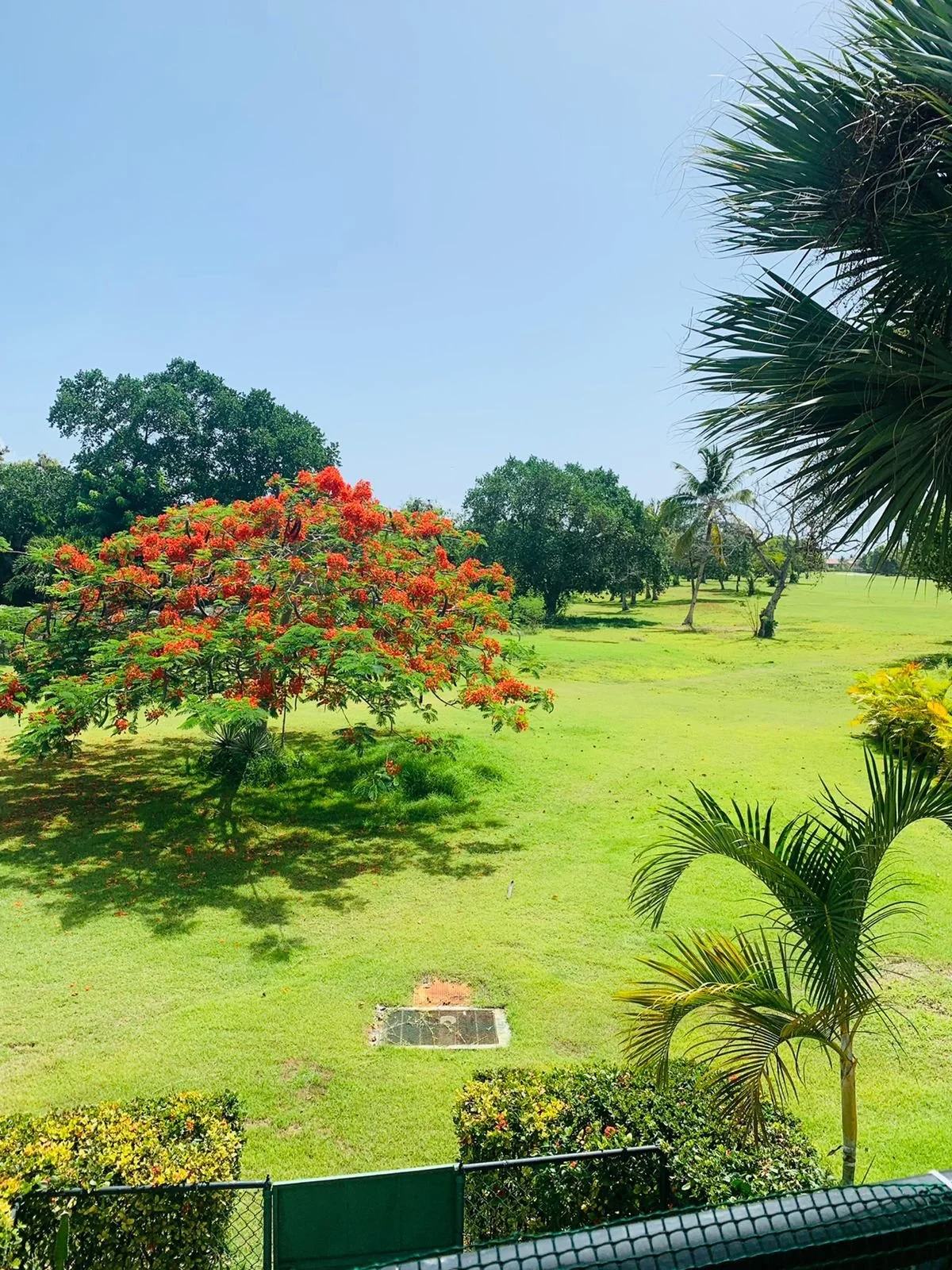 WhatsApp Image 2022-09-30 at 7.49.15 AM (3).jpeg