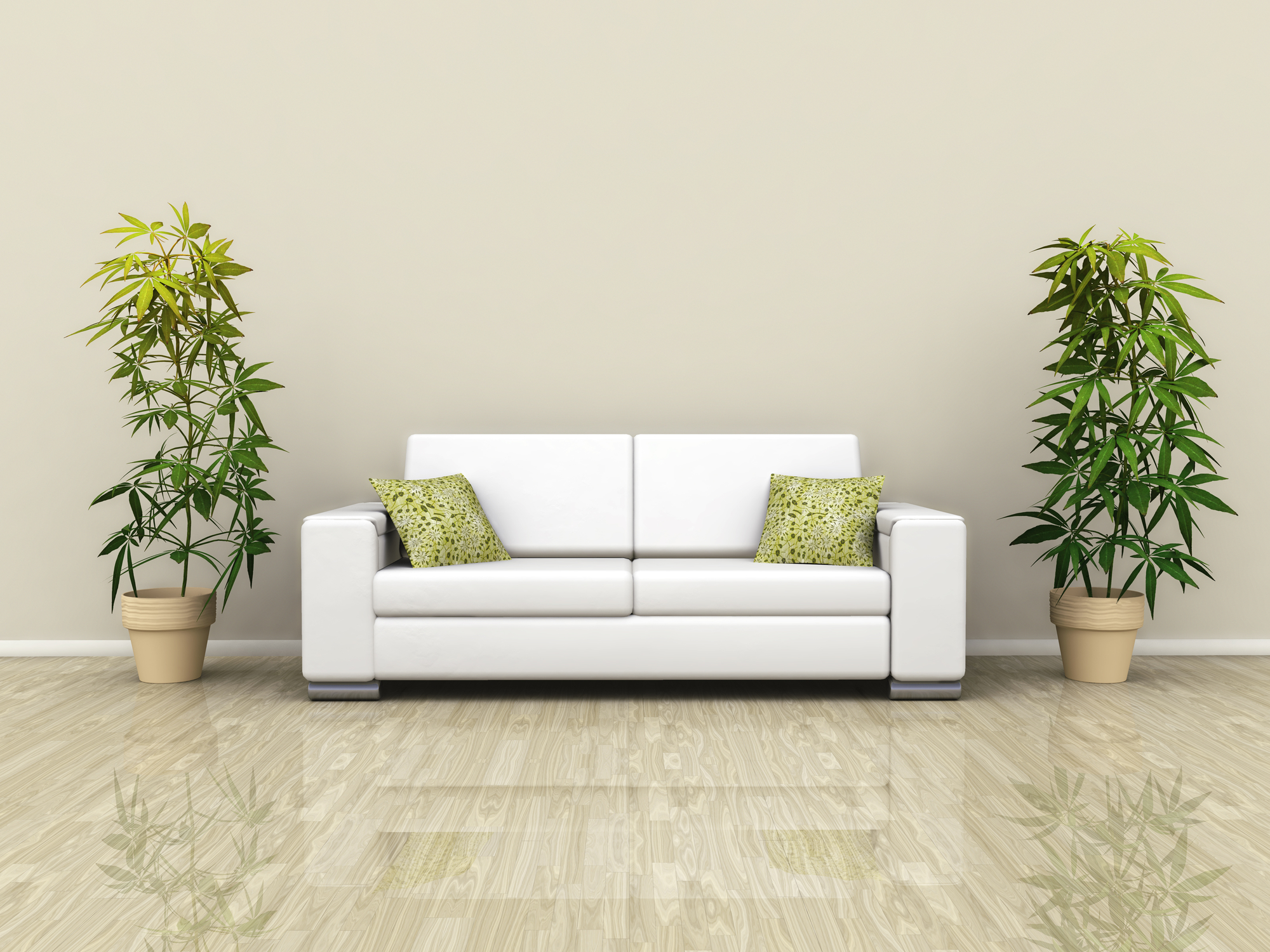 sofa-plants.jpg