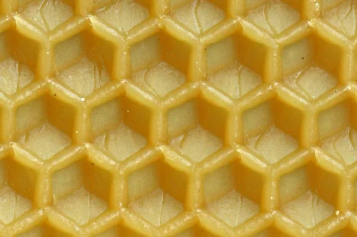 Honeybees and the 100x Factor