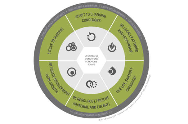 Graphic property of Biomimicry 3.8