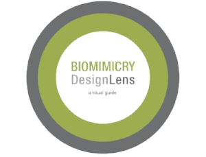 Graphic property of Biomimicry 3.8