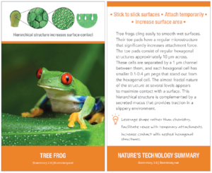 Nature's Technology Summary card