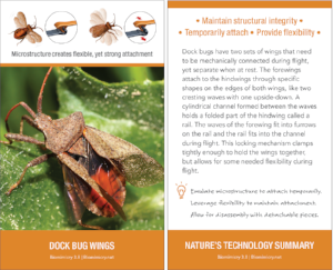 Nature's Technology Summary card