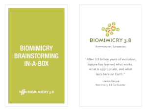 The toolkit includes a Biomimicry Brainstorming-in-a-Box card deck