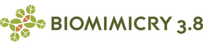 b38 horizontal logo.jpeg