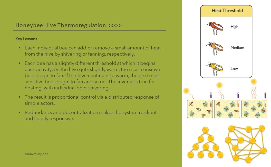 The back side includes key lessons and additional photos or illustrations