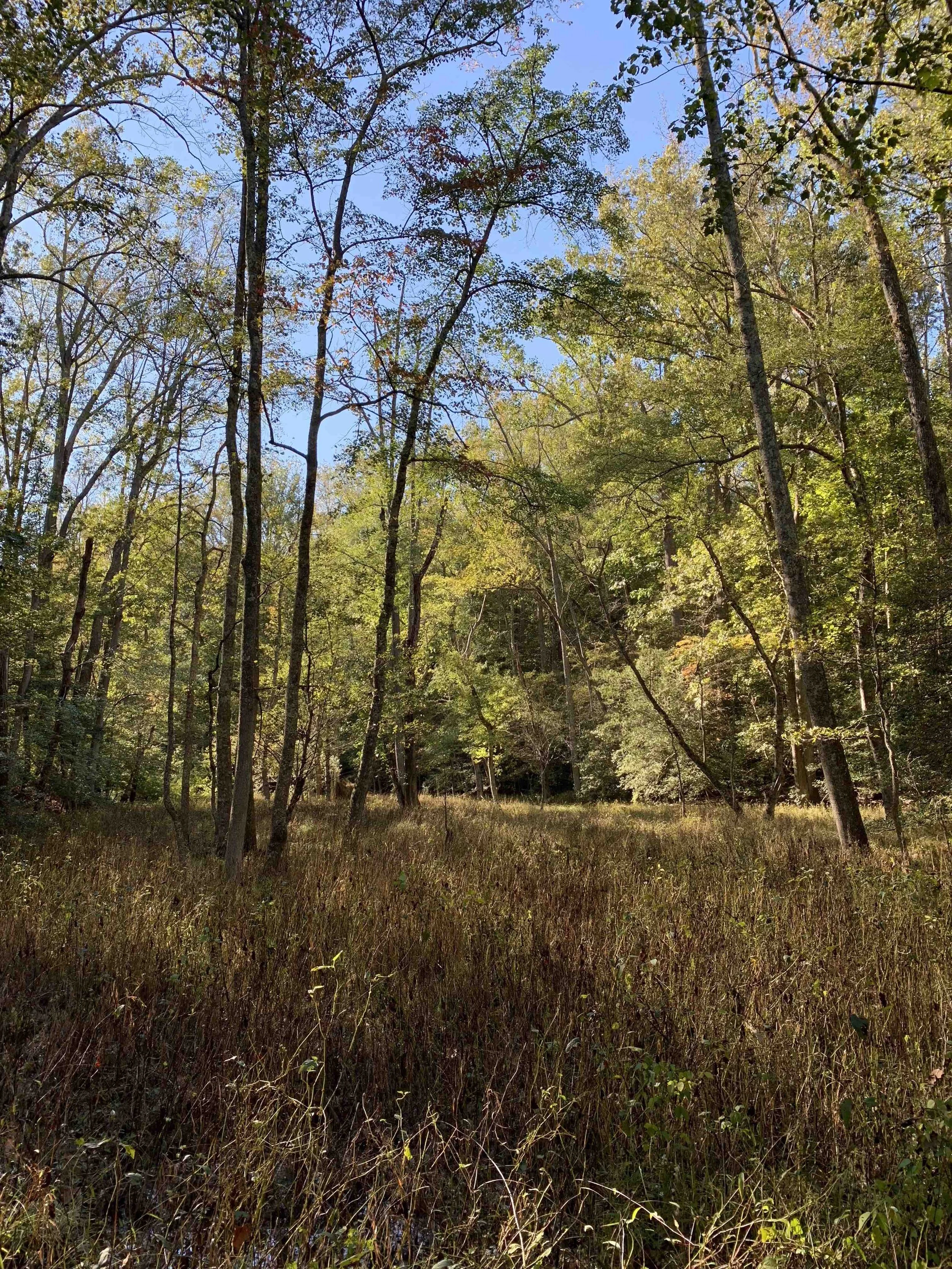 Caledon State Park