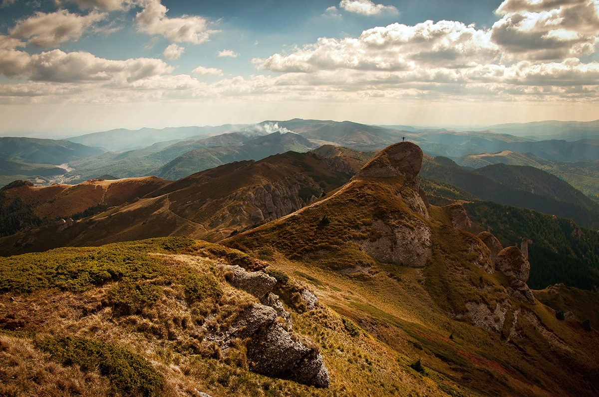 (image via David Marcu)