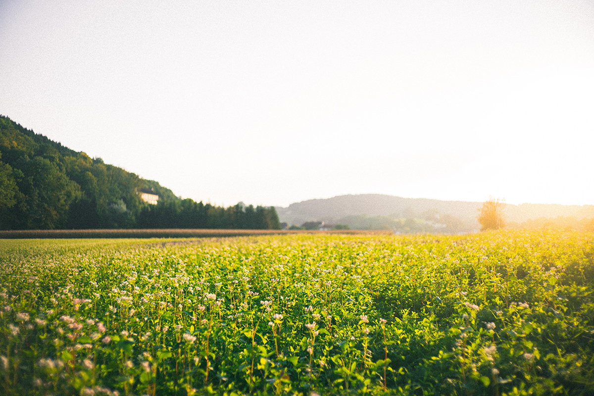 (image via Unsplash.com)