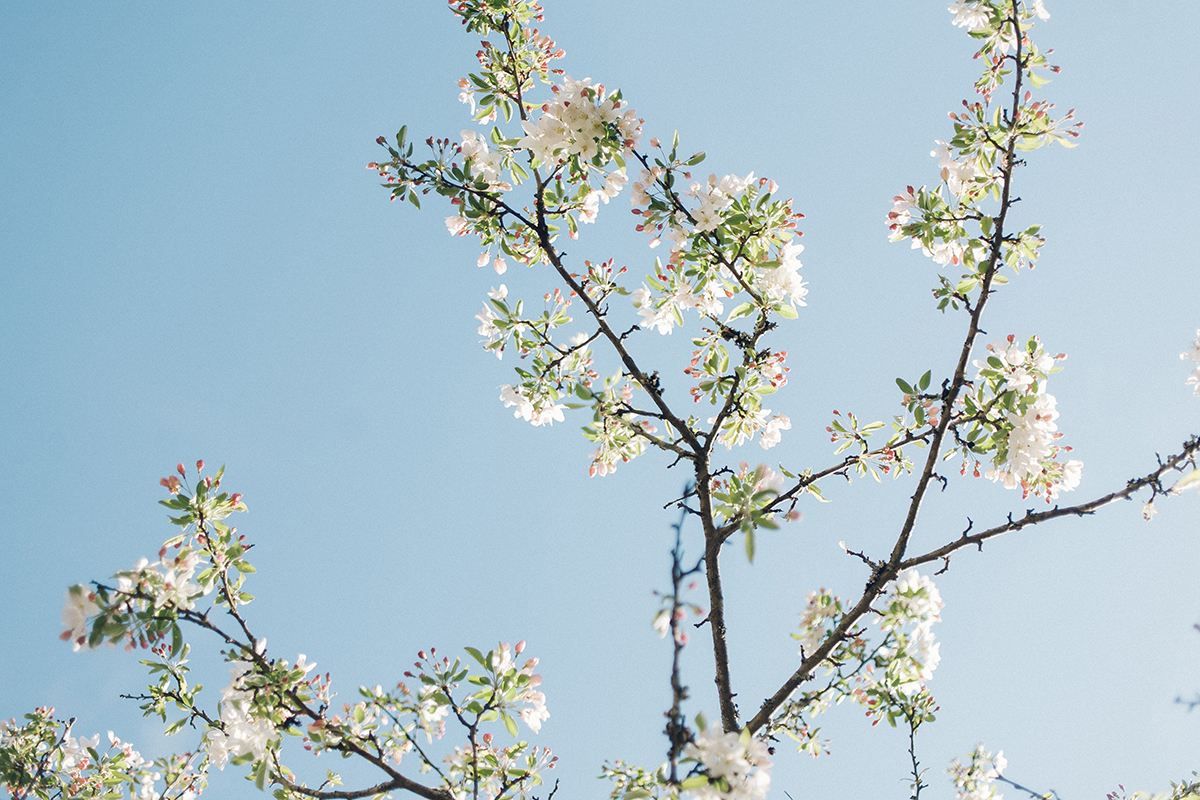 (image via Unsplash.com)