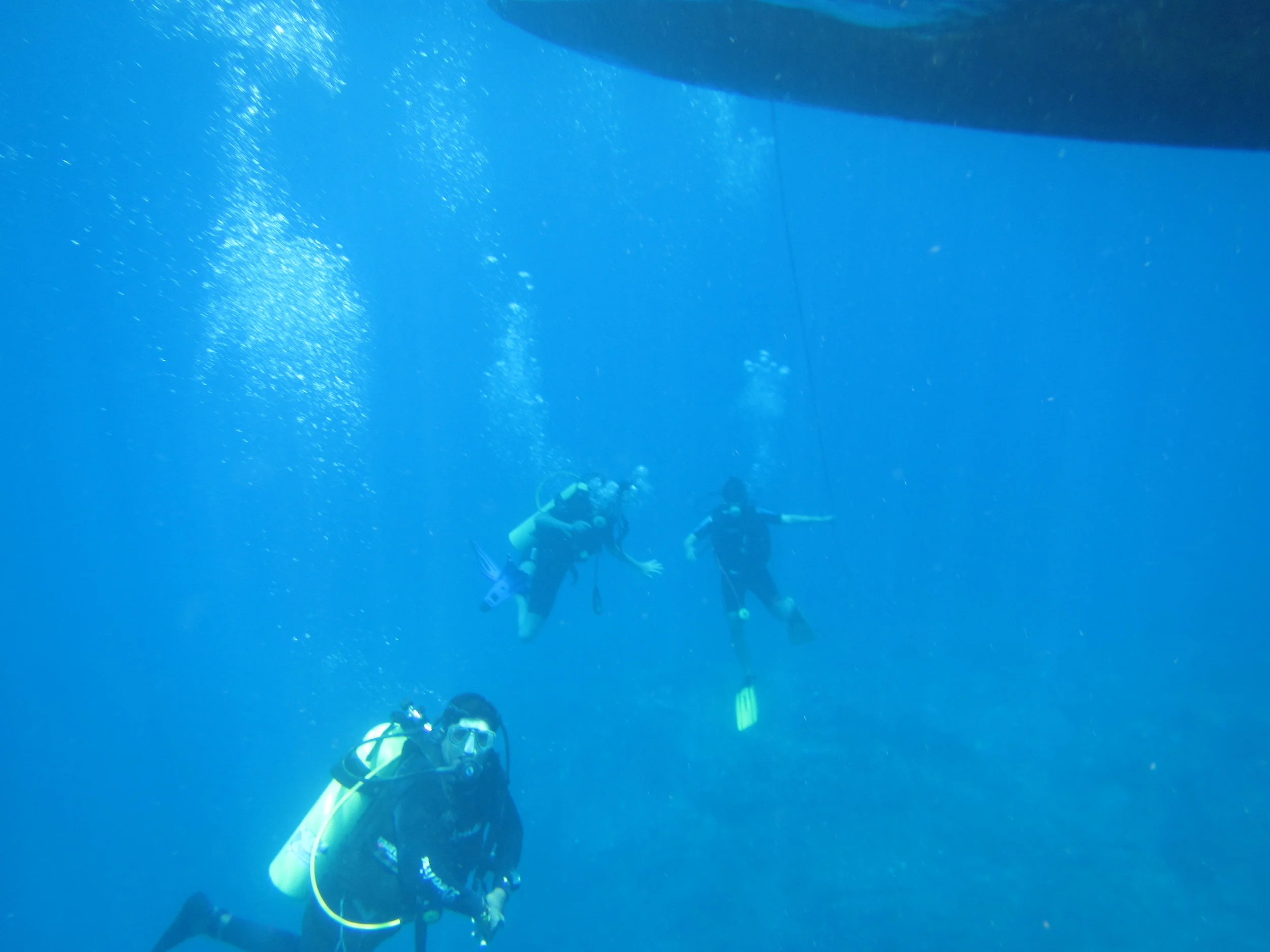 IMG_2372.JPG