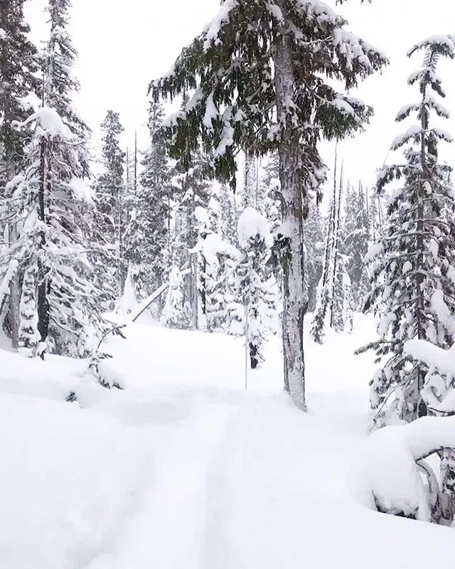 The time between Christmas and New Years where you lose track of what day it is, is my favourite part of the holiday break. Spending time with my family snowshoeing, watching hockey and roasting marshmallows over the fire is pure bliss. Hope you&rsqu