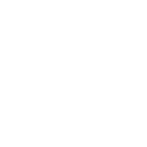 The Executive-Panel