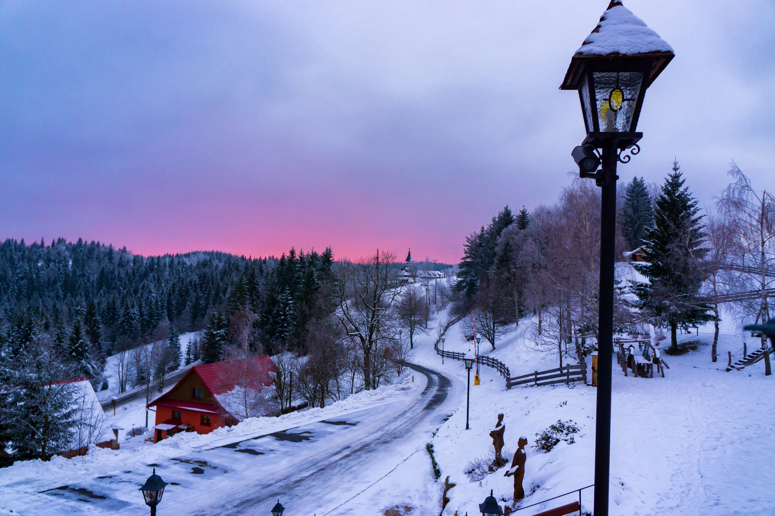 solan 2-01135.jpg