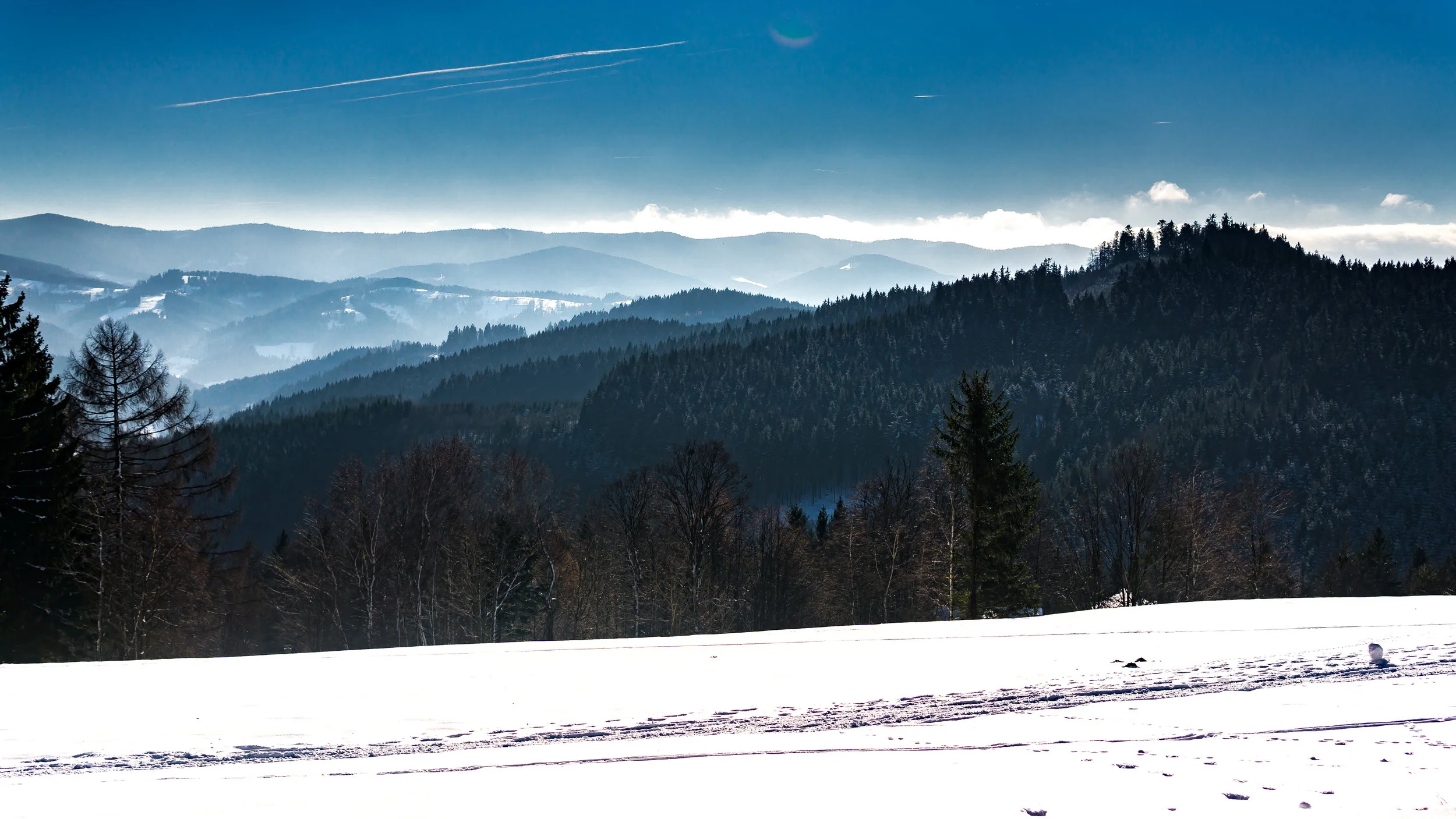 SNOW-01610.jpg