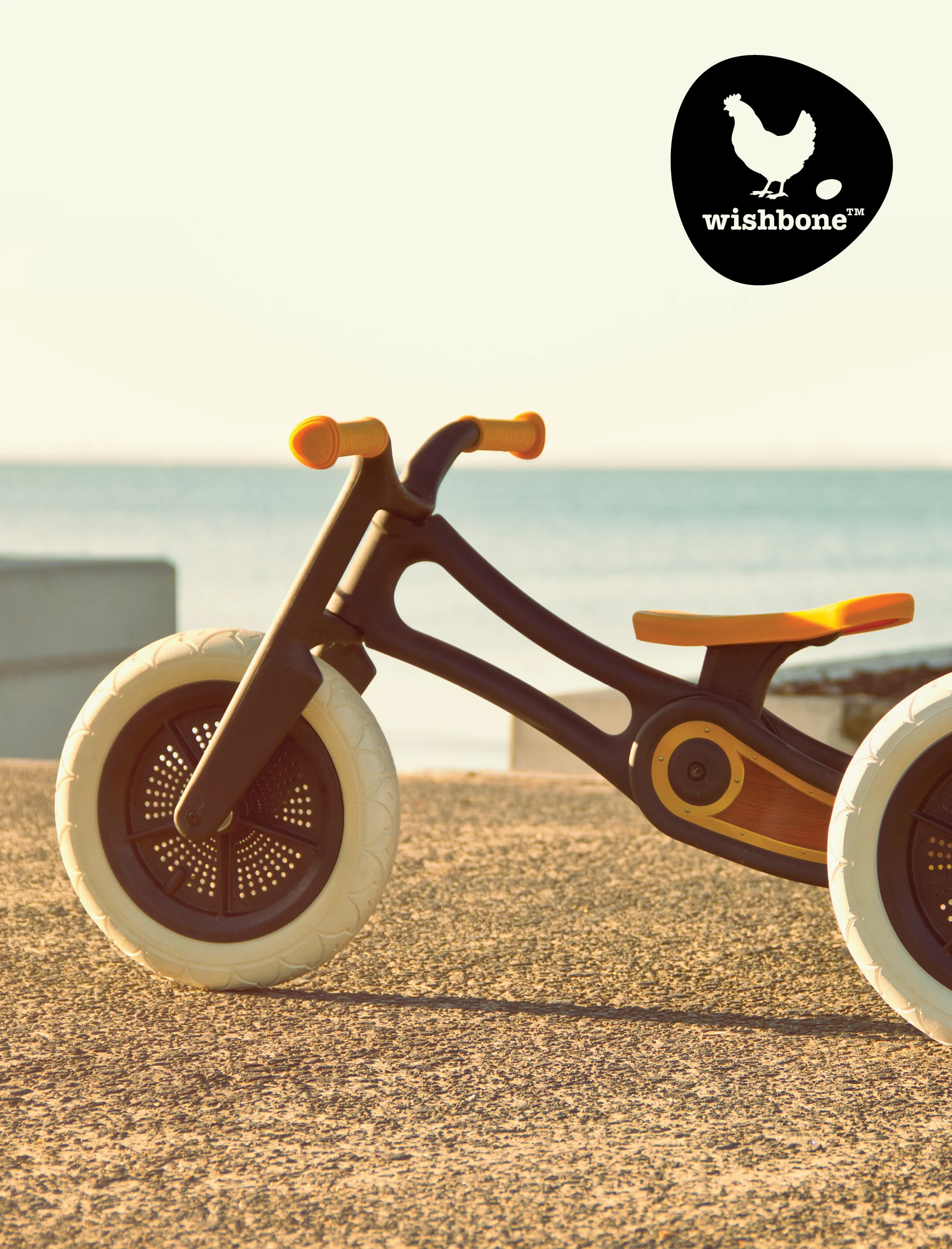 Wishbone Design 2.jpg