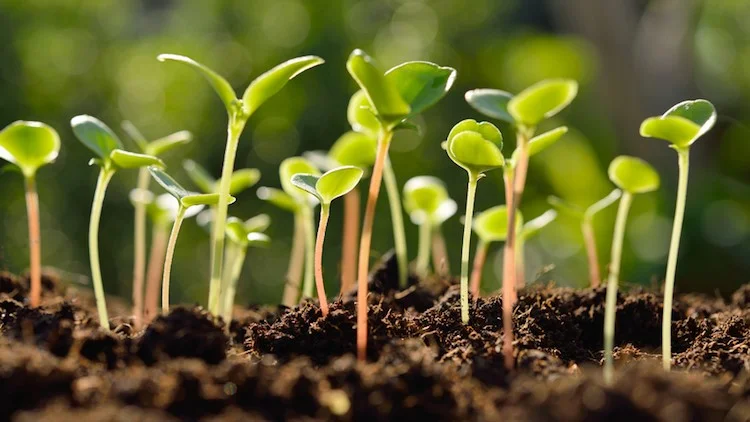 Who's leading the emergence of New Zealand's circular economy.jpg
