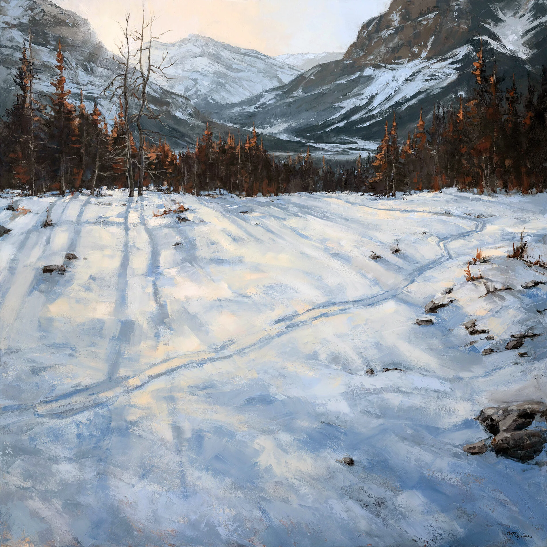 Tree shadows 72 dpi.jpg