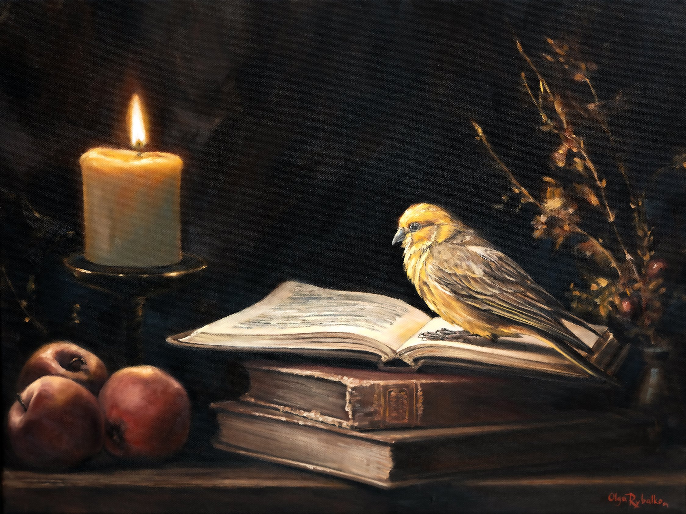 canary preliminary small.jpg