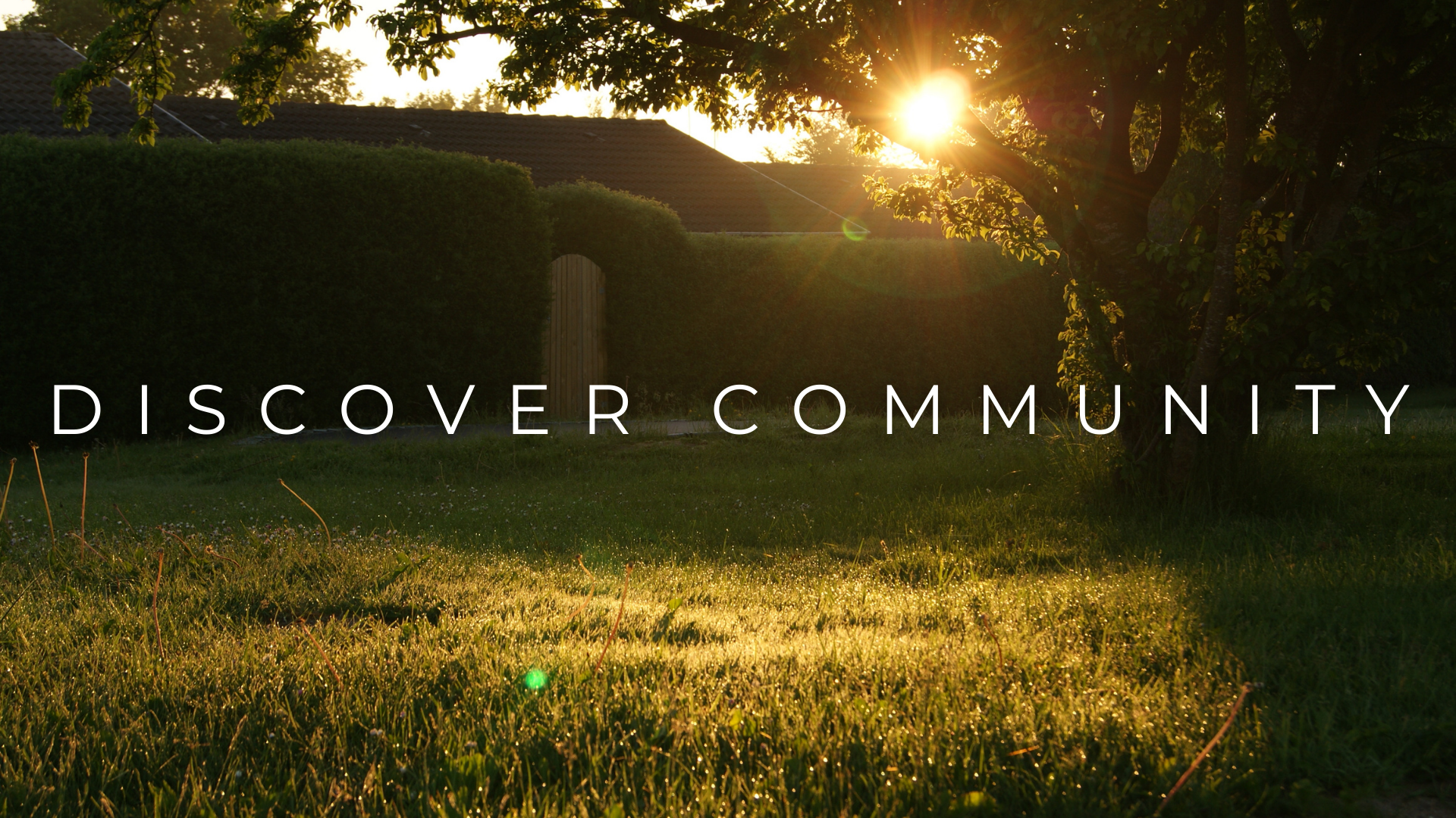 DISCOVER COMMUNITY (1).png