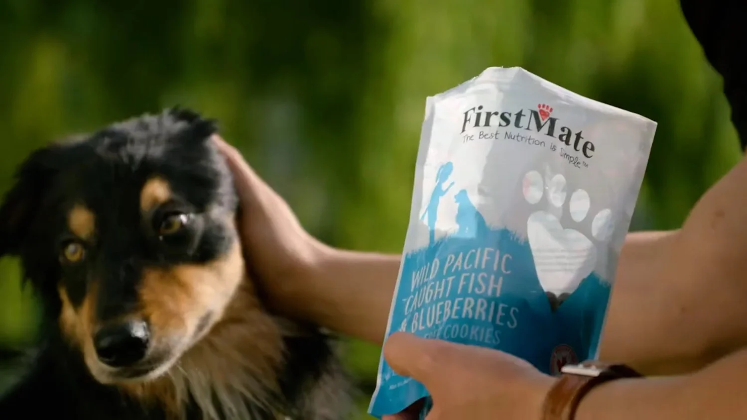 FirstMate commercial featuring a dog and its owner