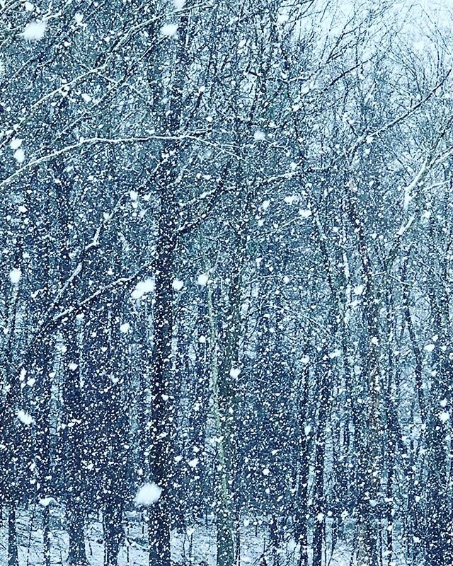 Today, as I watched the snow fall and thought it looked like a work of art&mdash;something from the impressionist period, perhaps&mdash;I regretted the many times I had been frustrated with my calendar, had called it &ldquo;crazy&rdquo; and &ldquo;in