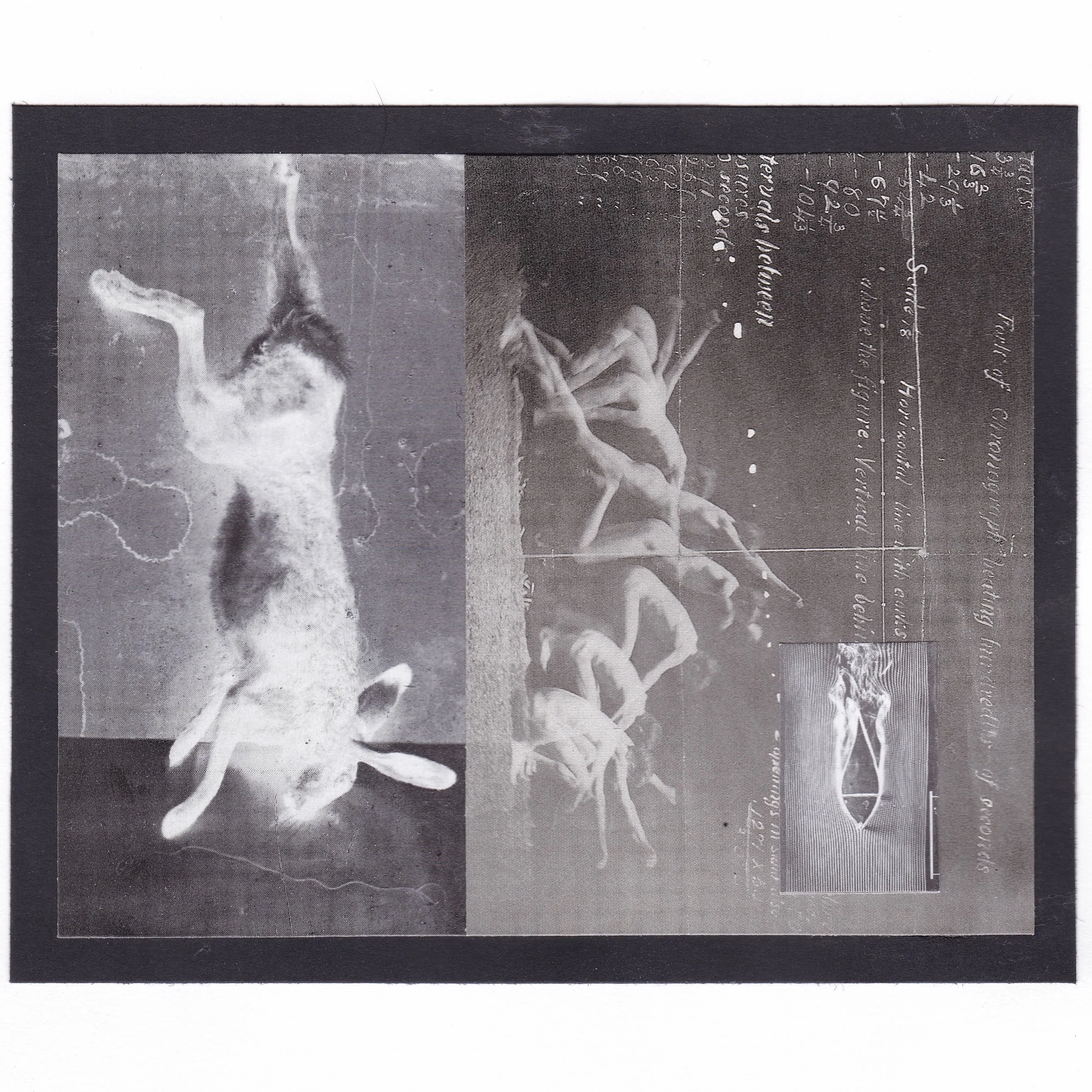 We’ll Rot Under The Grass Where We Used To Run.jpeg