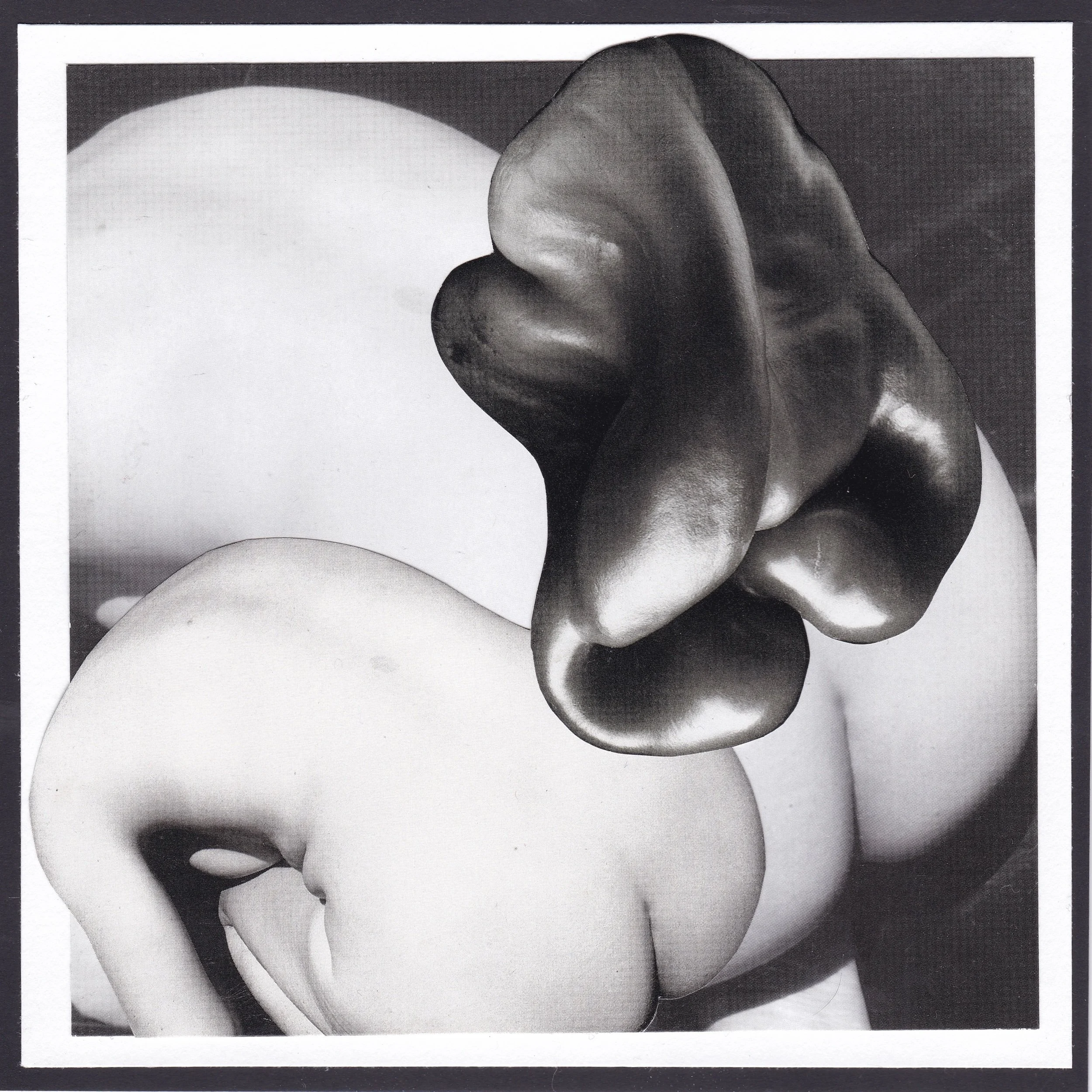 Count The Blobs.jpeg