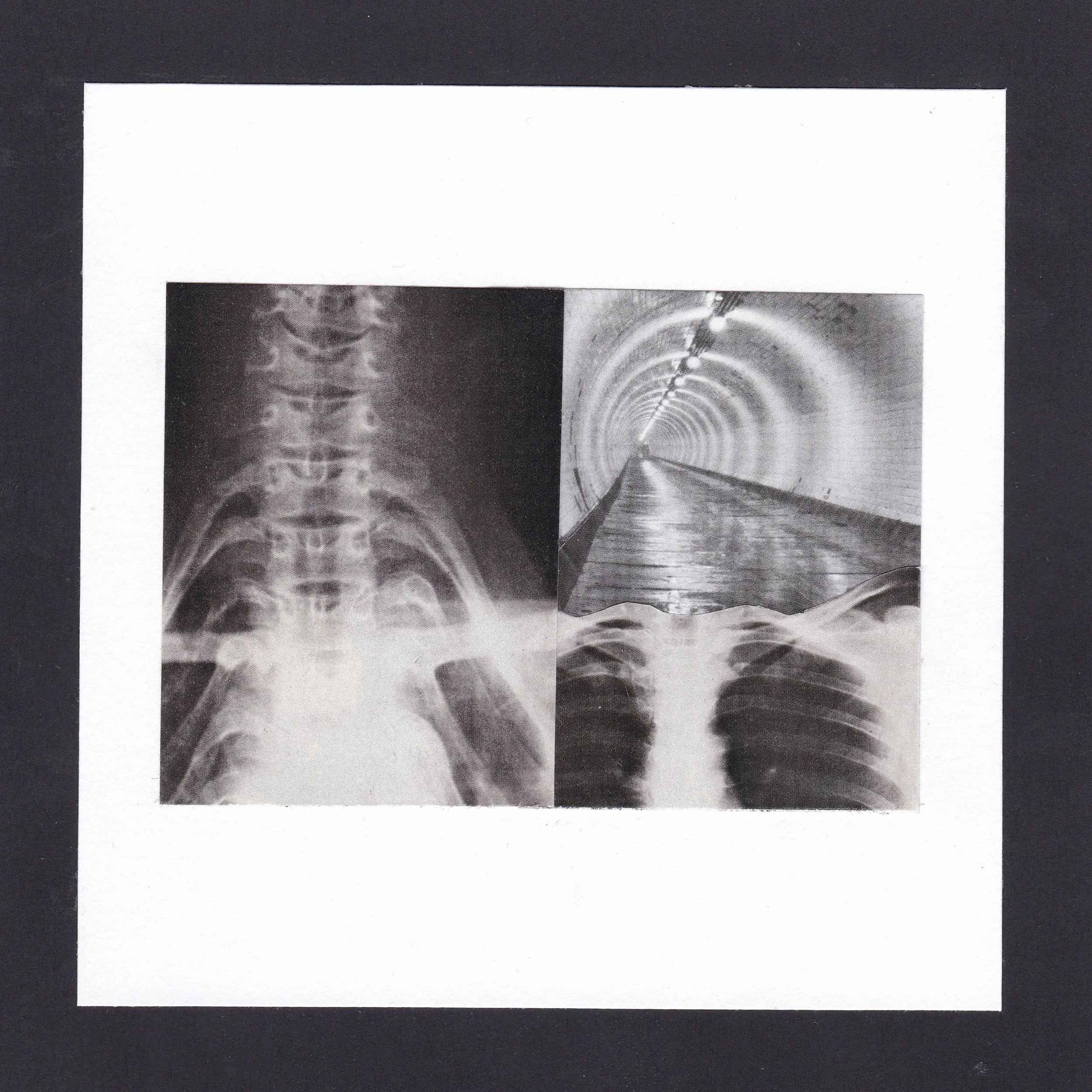 Bones on the Tracks.jpeg