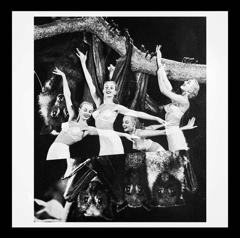 Stretch Yer Flaps.jpeg