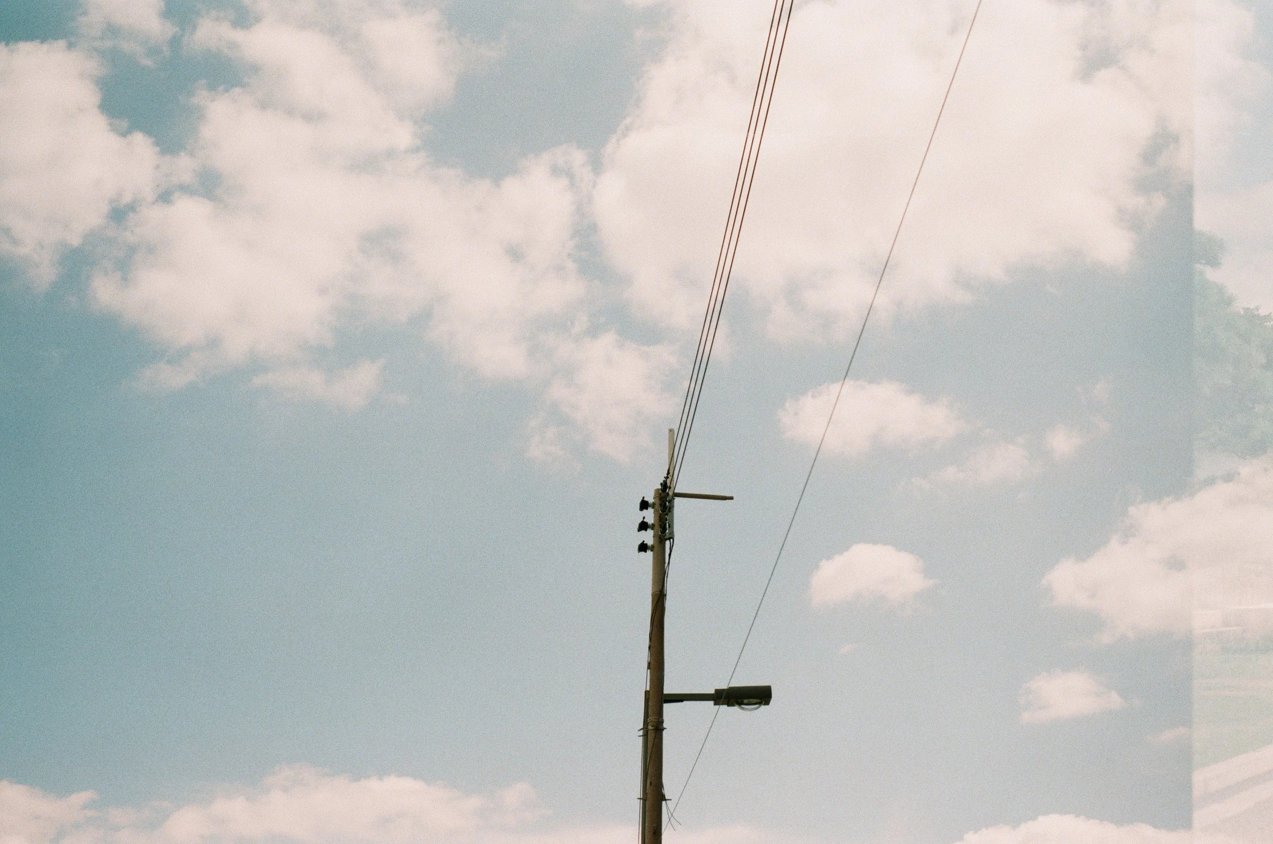 0535-24 (pig fav).jpg