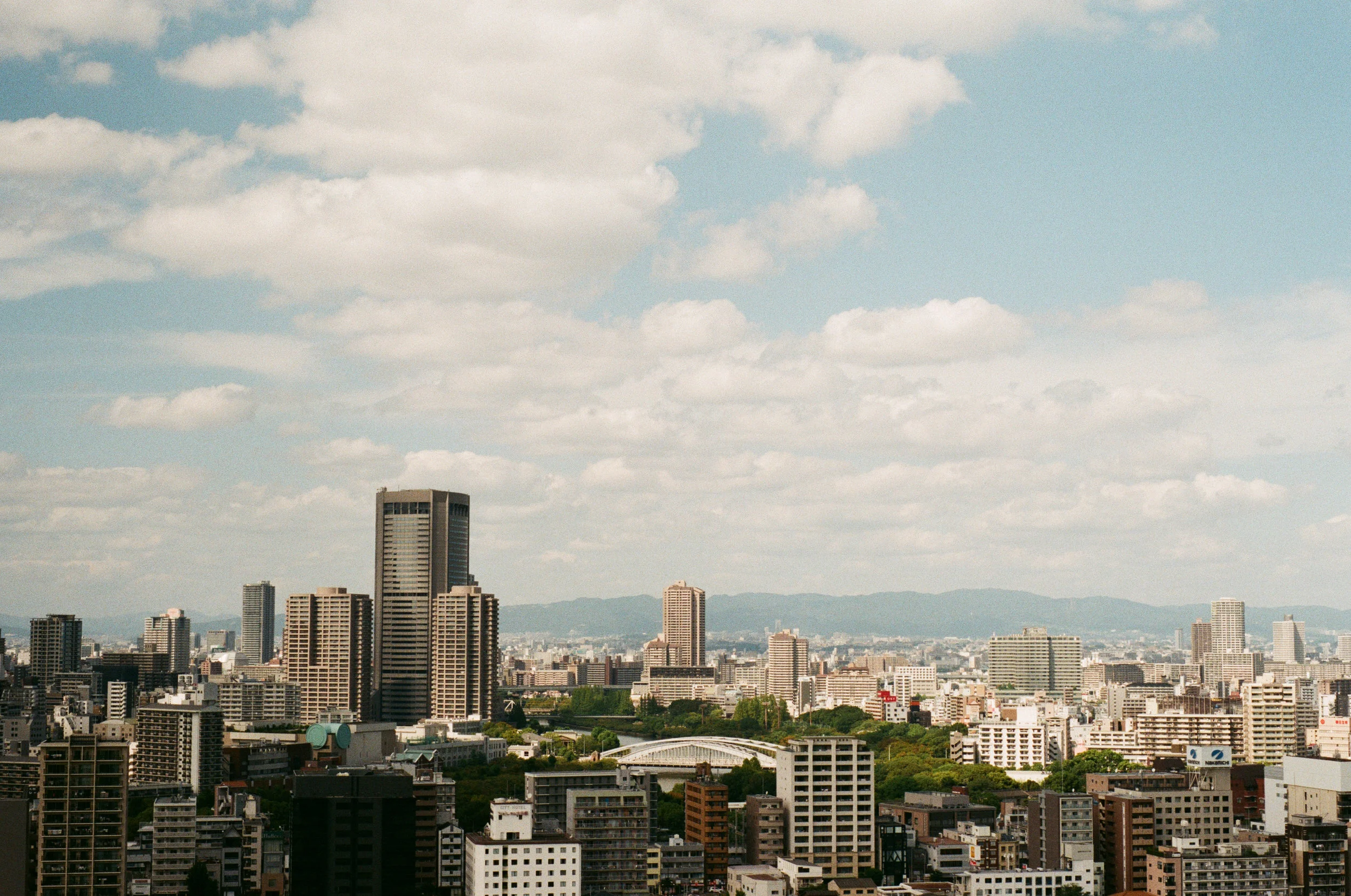 0535-05 (pig fav)_1.jpg