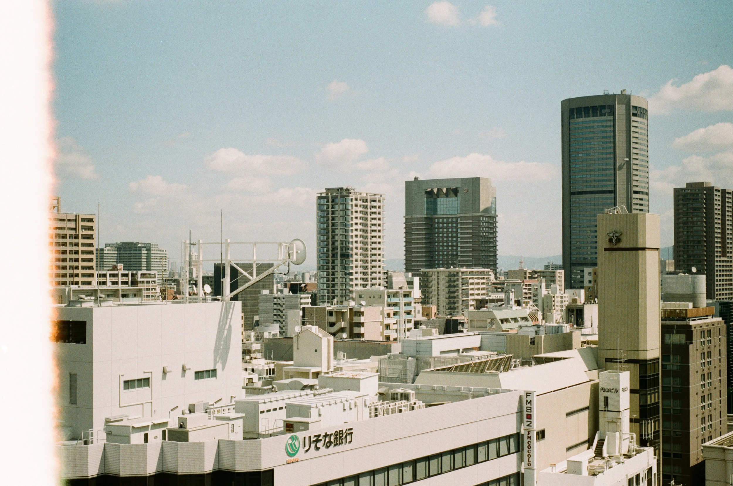 0535-37 (pig fav)_1.jpg