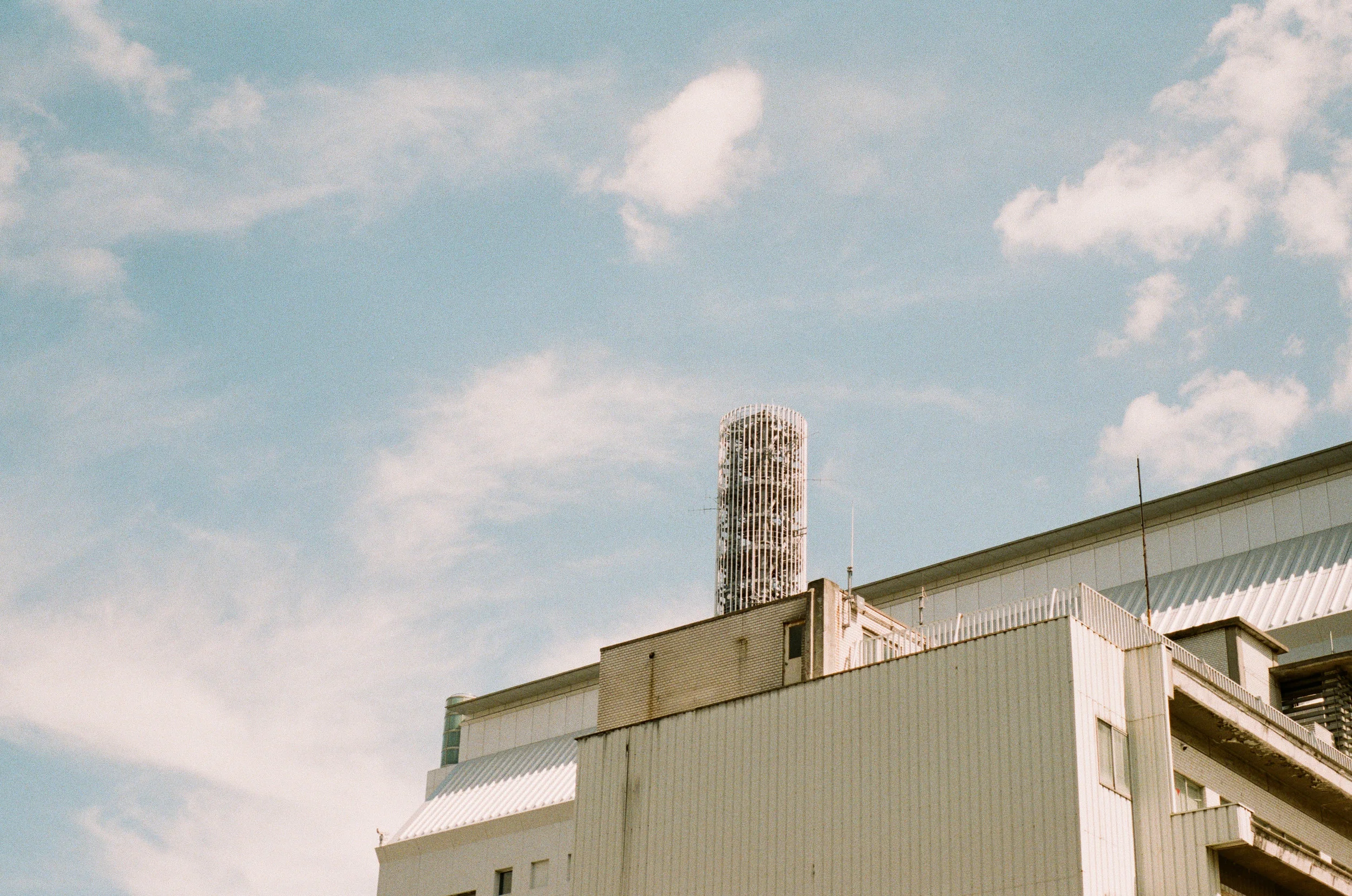 0535-27 (pig fav)_1.jpg