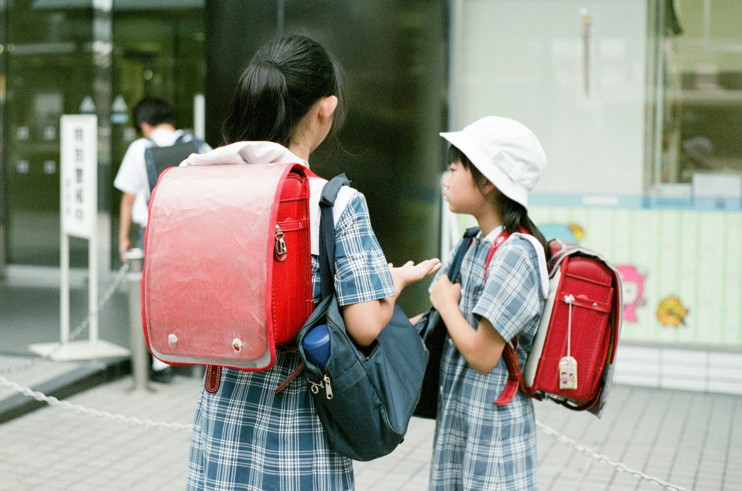 0529-38 (pig fav)_1.jpg