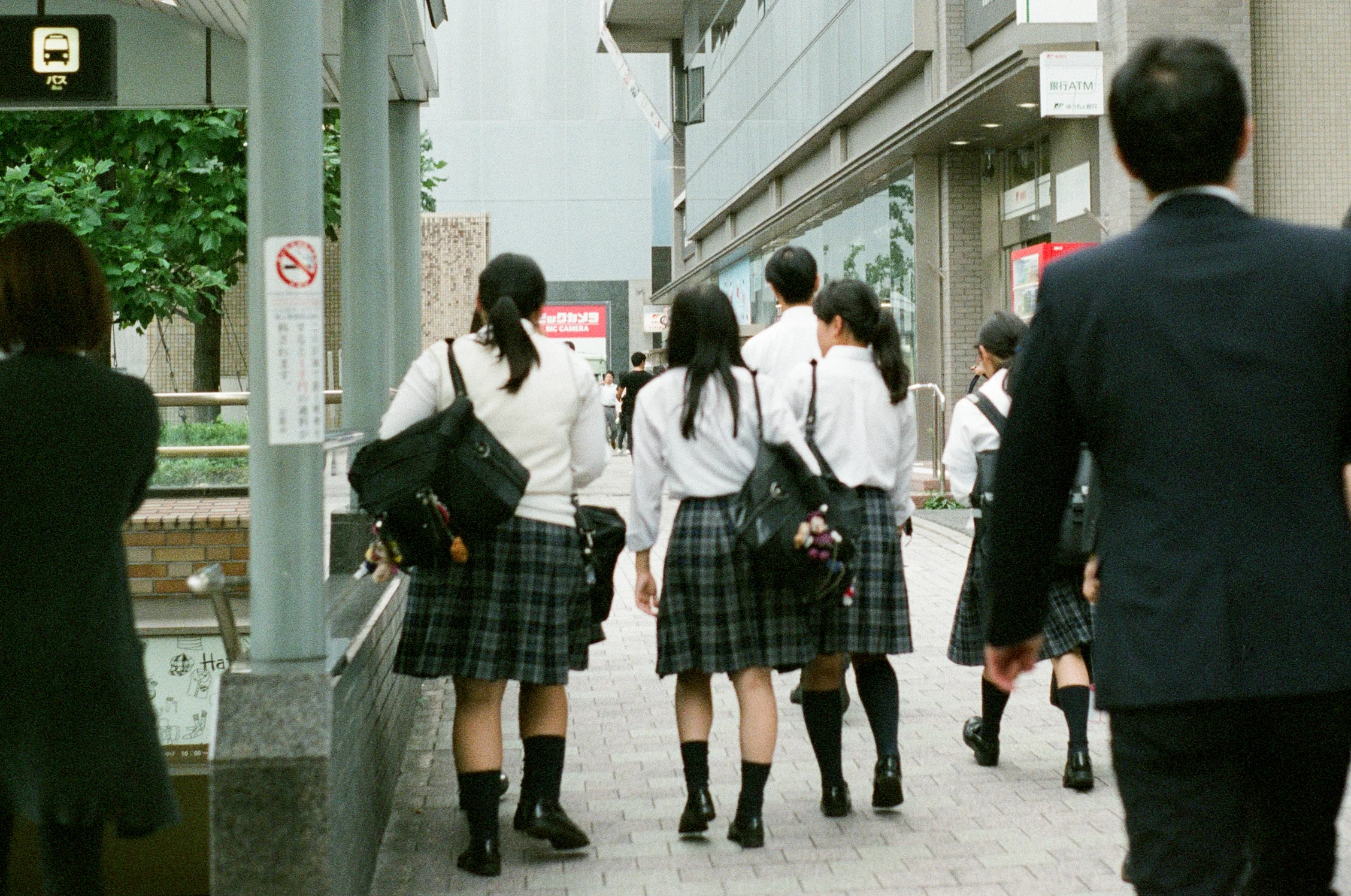 0529-39 (pig fav2)_1.jpg