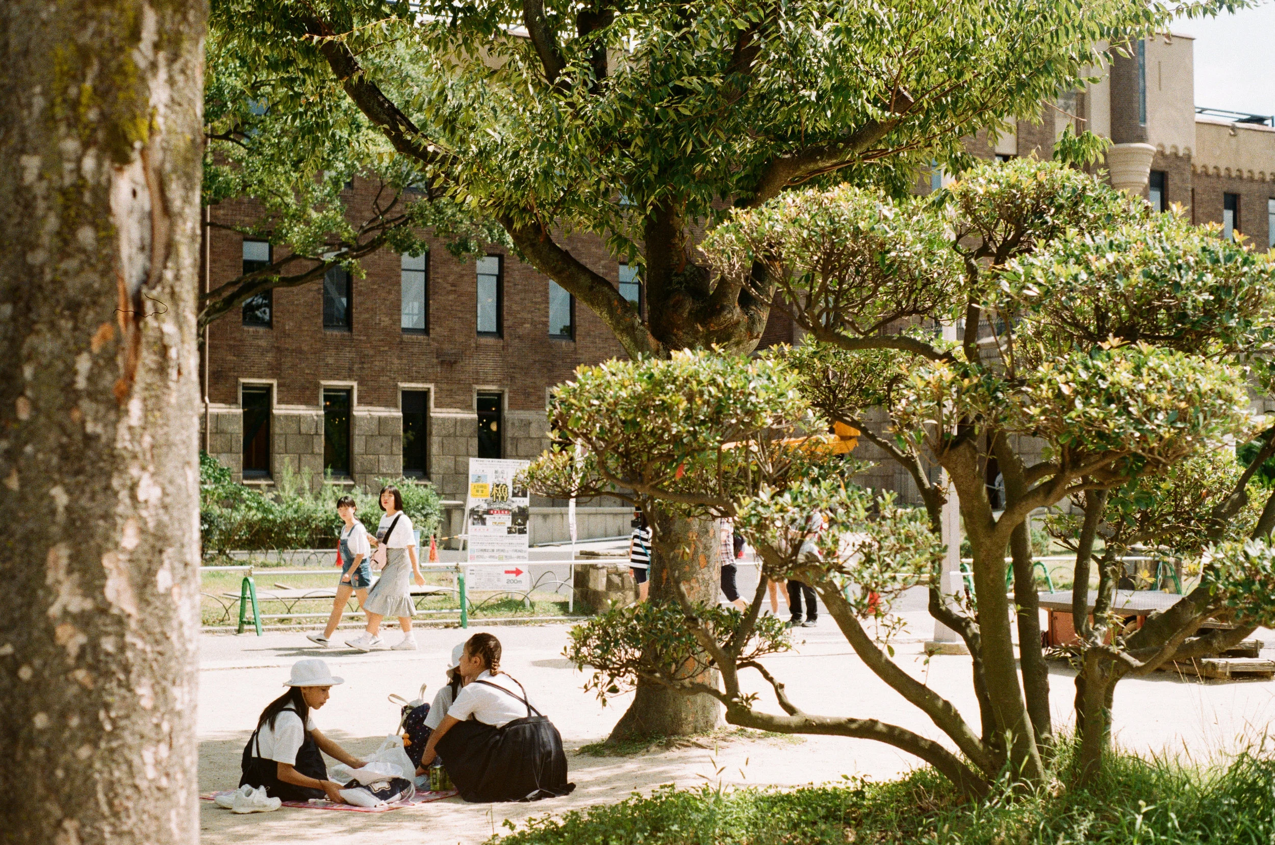 0535-13 (pig fav)_1.jpg