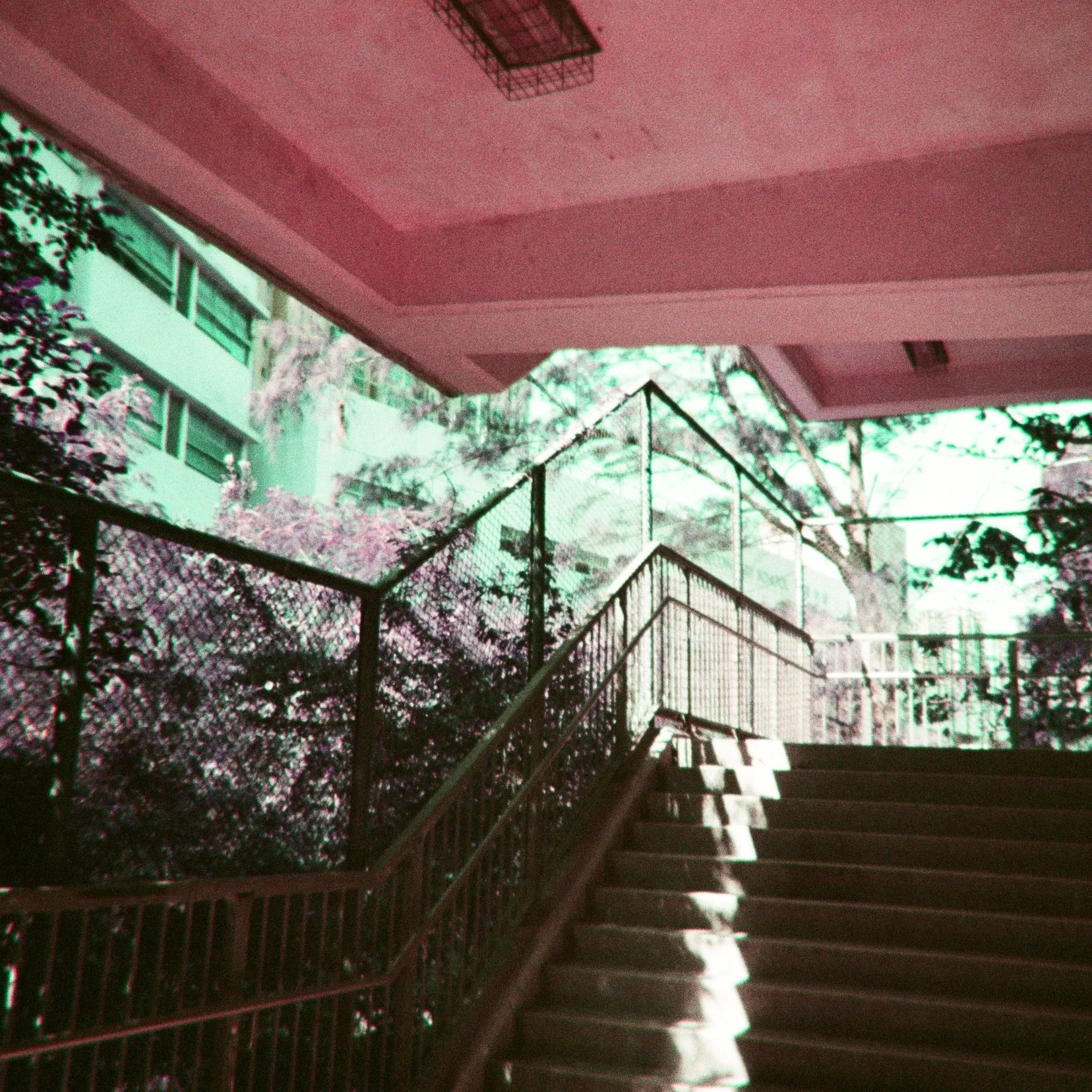 2624-21.jpg