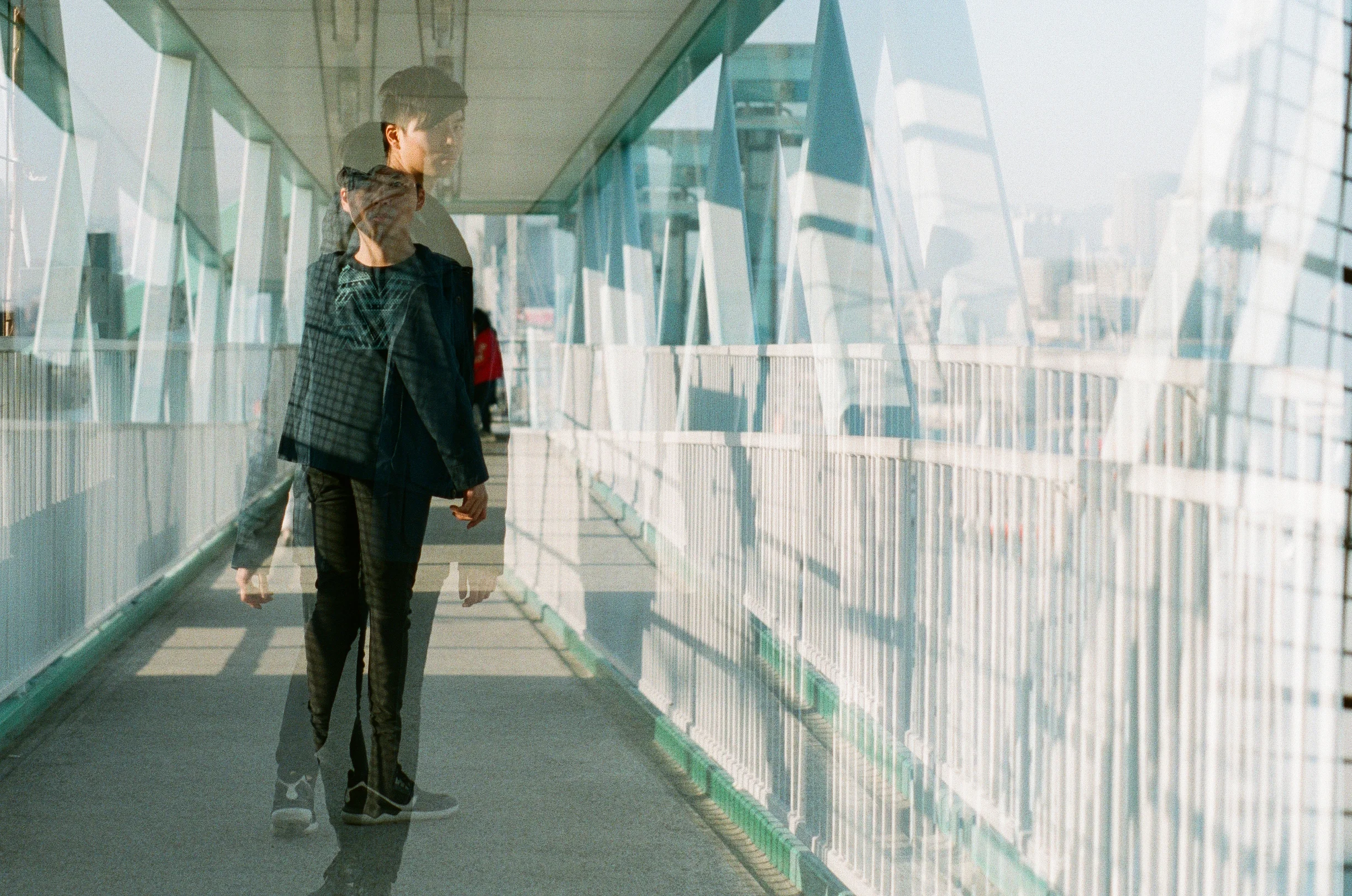 赤、黄、緑、青、紫 | NIKONOYUMEE ニコの写真