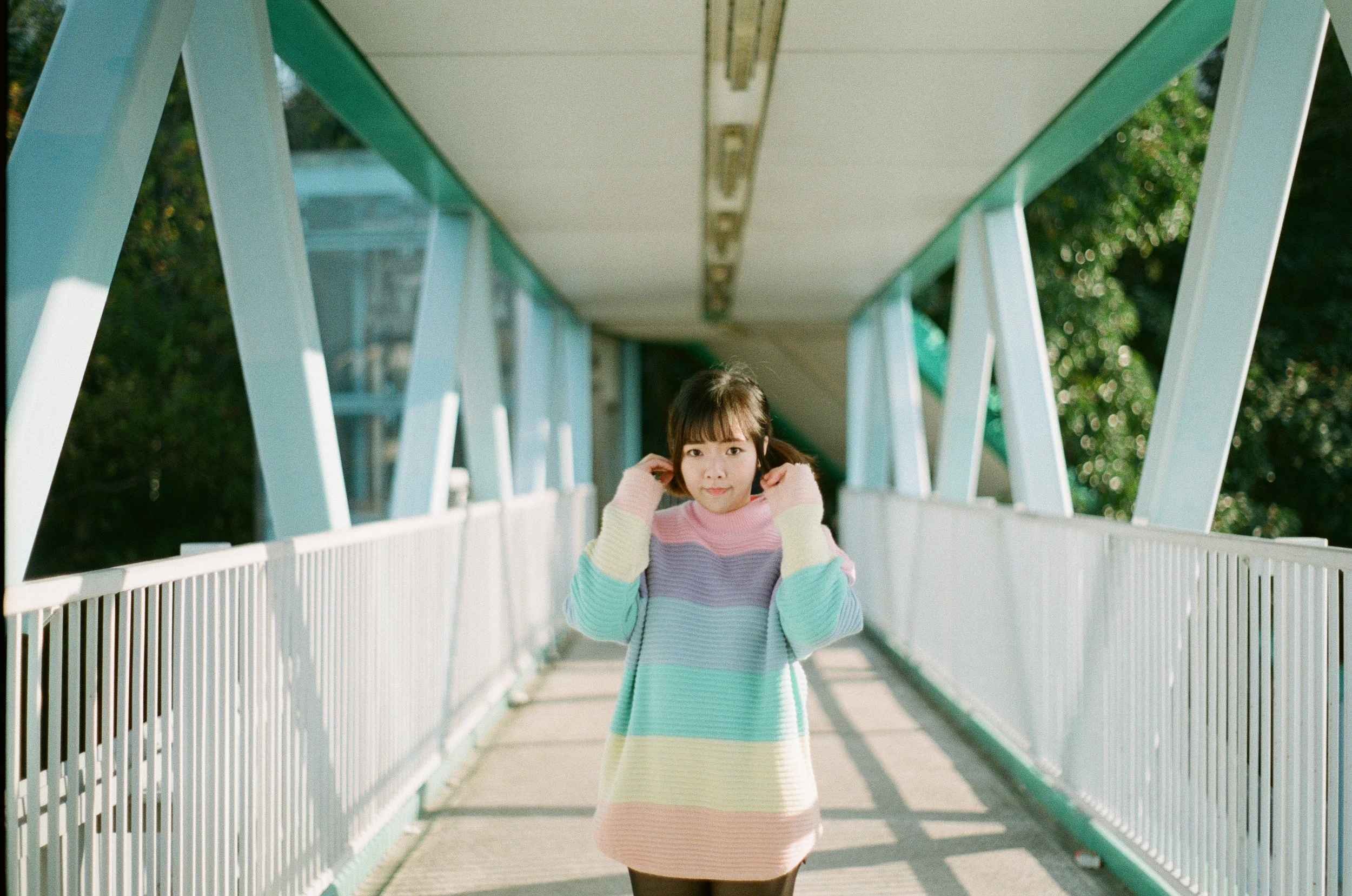赤、黄、緑、青、紫 | NIKONOYUMEE ニコの写真