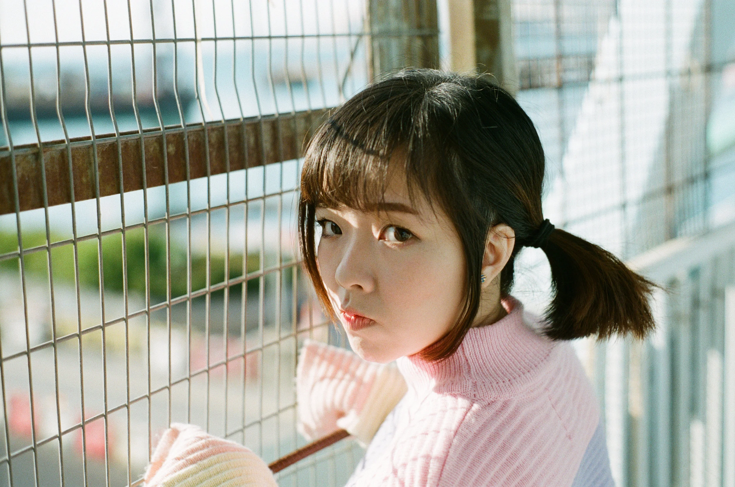 赤、黄、緑、青、紫 | NIKONOYUMEE ニコの写真