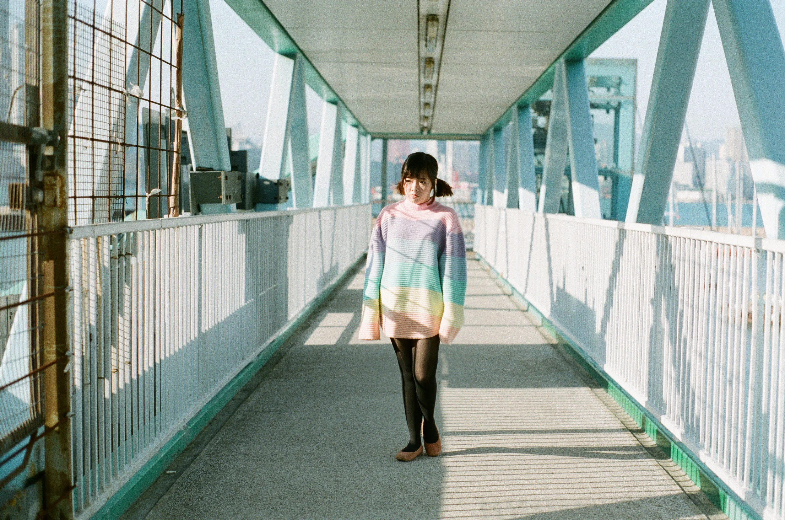 赤、黄、緑、青、紫 | NIKONOYUMEE ニコの写真
