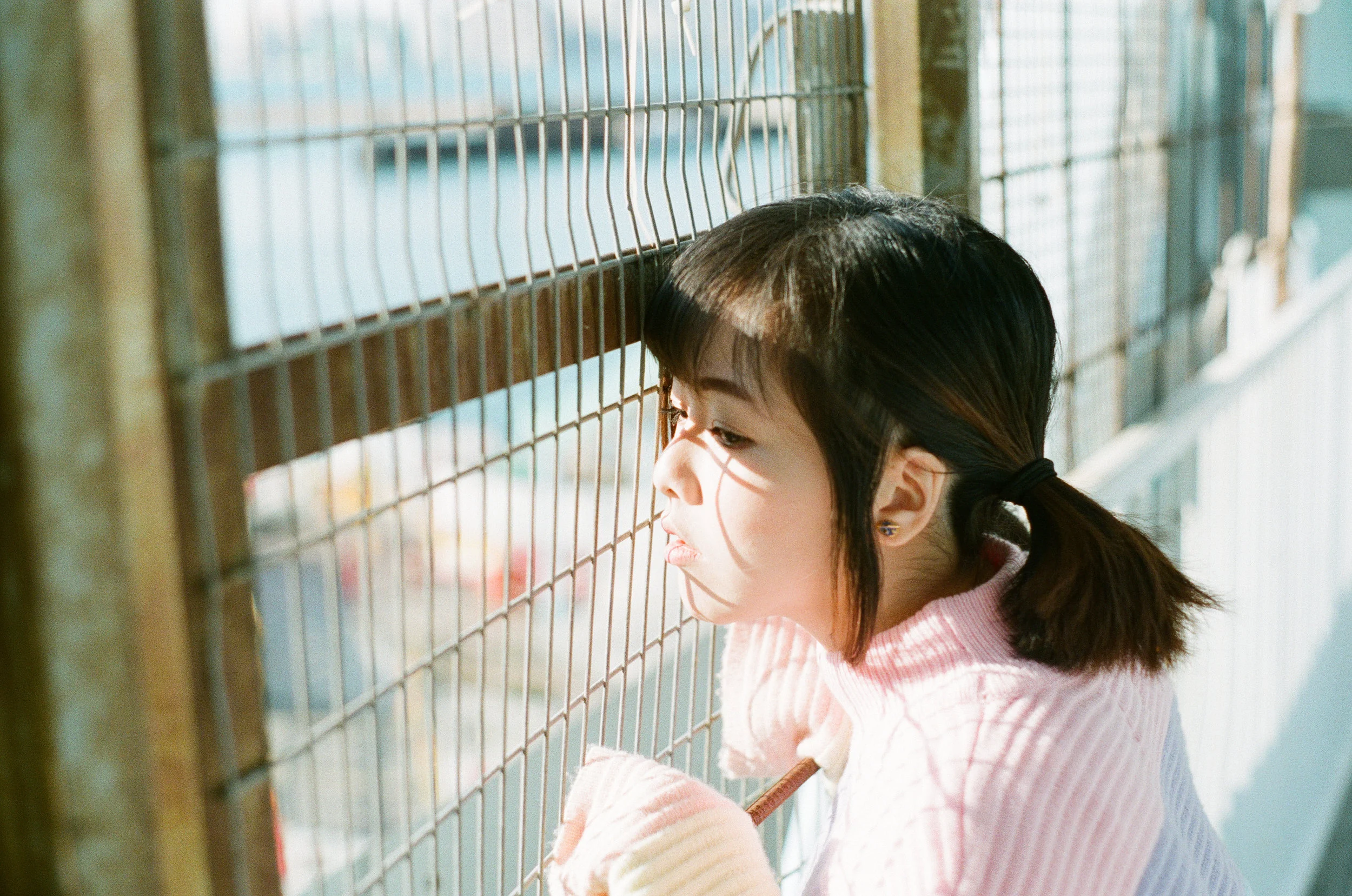 赤、黄、緑、青、紫 | NIKONOYUMEE ニコの写真