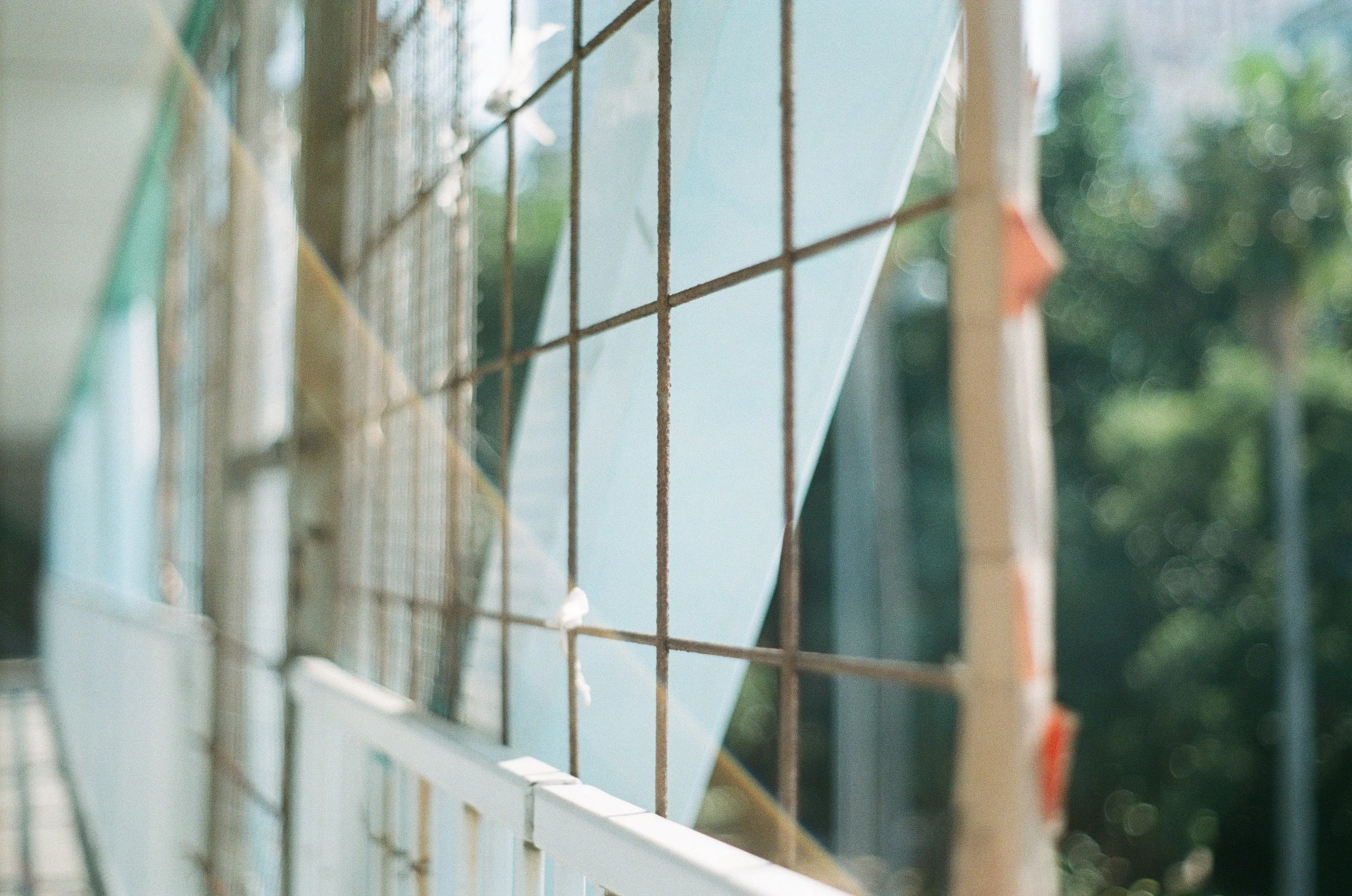 赤、黄、緑、青、紫 | NIKONOYUMEE ニコの写真