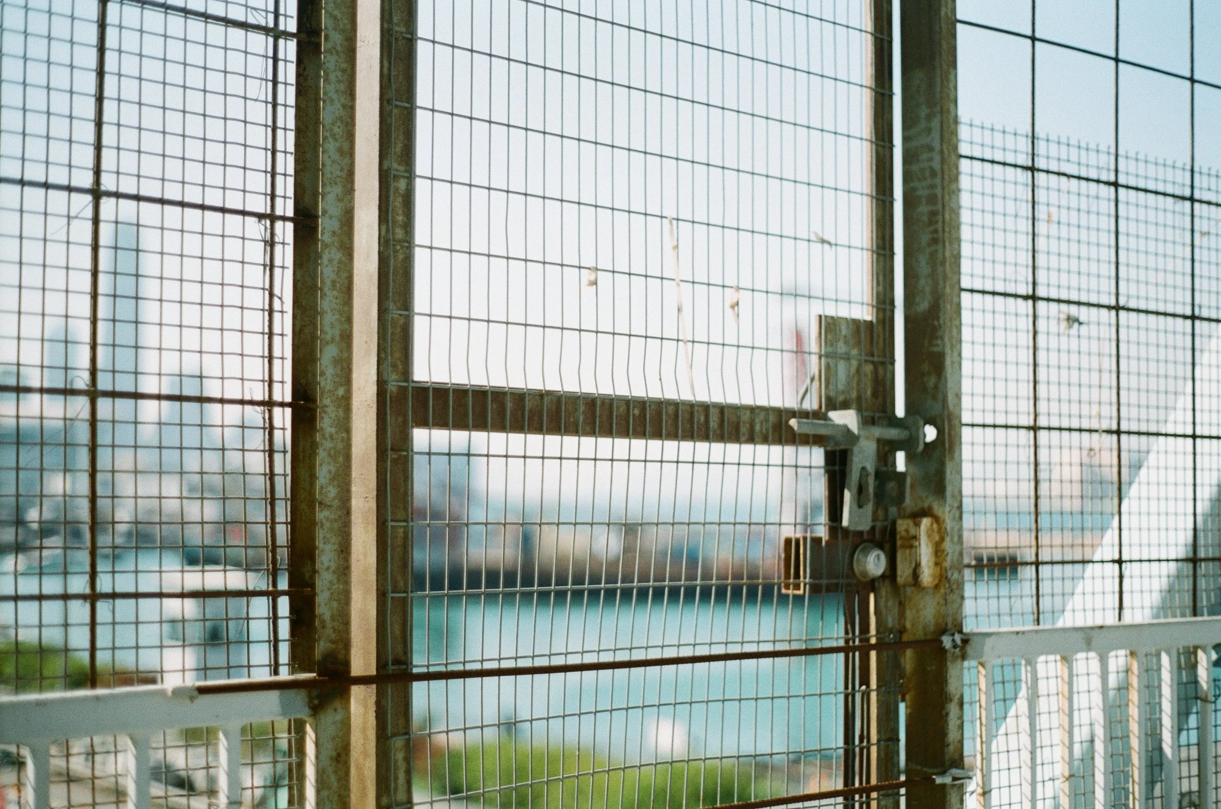 赤、黄、緑、青、紫 | NIKONOYUMEE ニコの写真