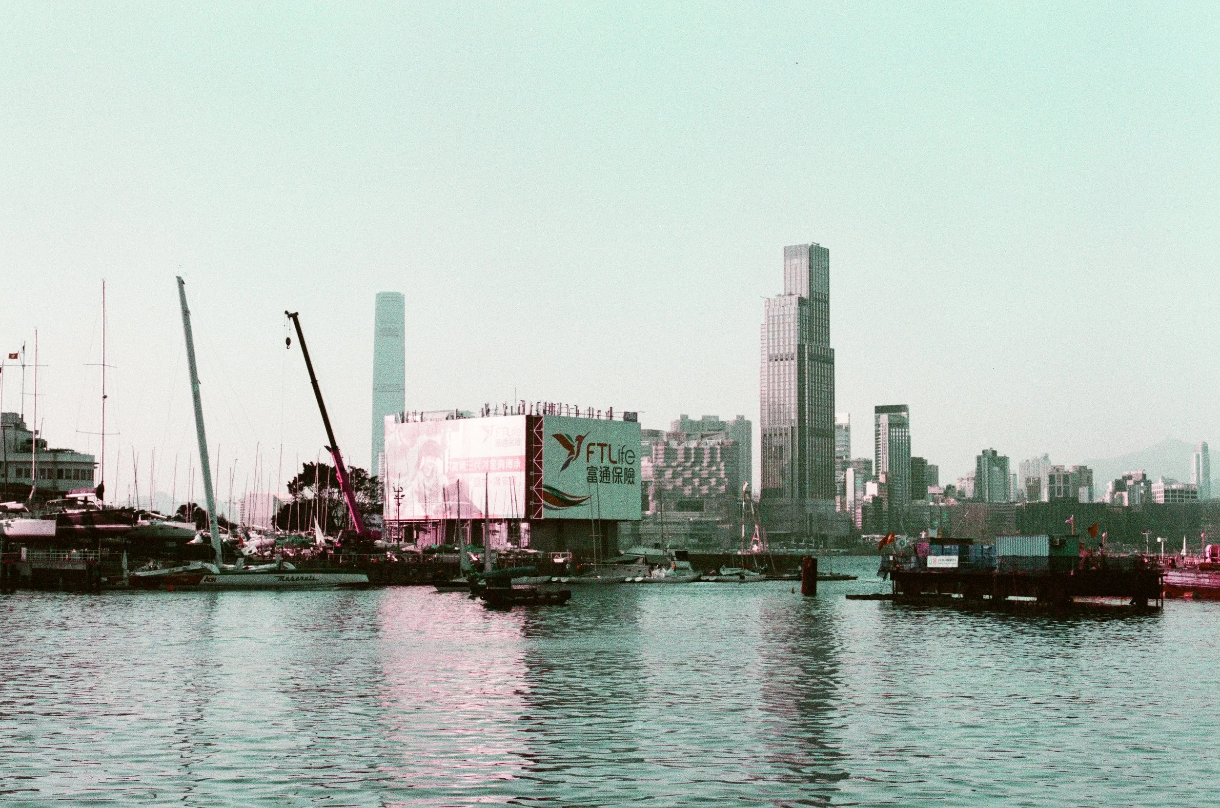 赤、黄、緑、青、紫 | NIKONOYUMEE ニコの写真