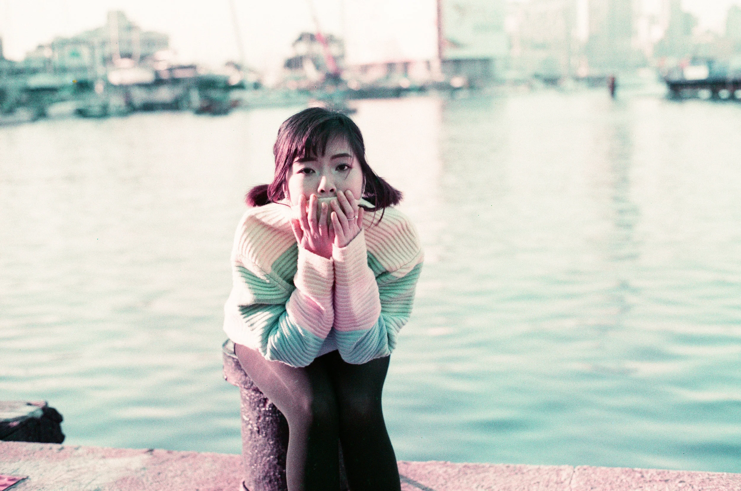 赤、黄、緑、青、紫 | NIKONOYUMEE ニコの写真