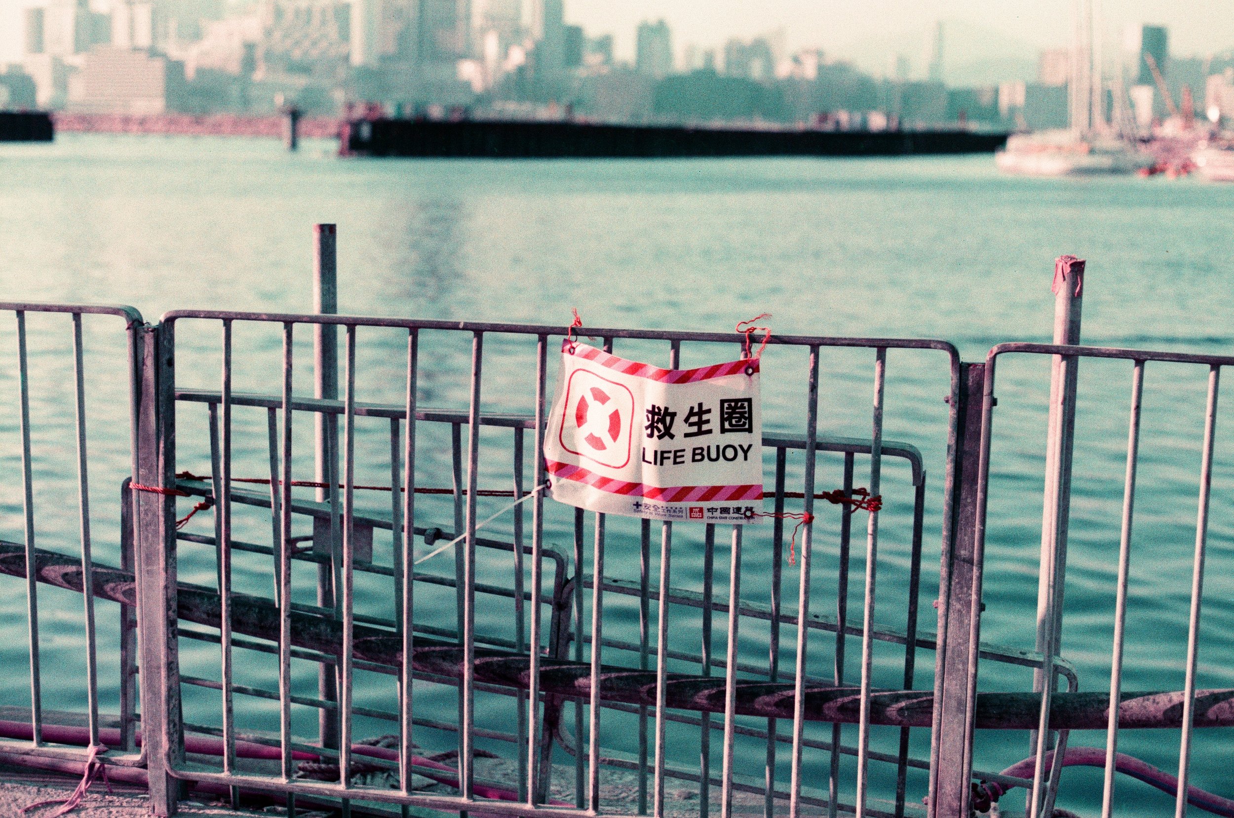 赤、黄、緑、青、紫 | NIKONOYUMEE ニコの写真